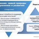 Слайд06