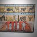 IMG-20250623-WA0020