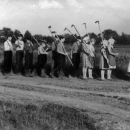 16. Lager_Propolka